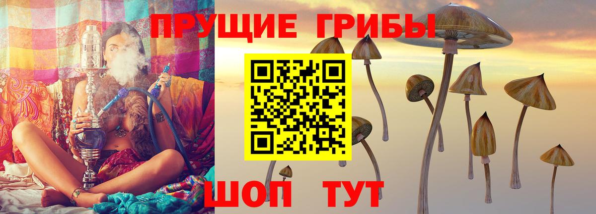 Псилоцибиновые грибы Magic Shrooms Соль-Илецк