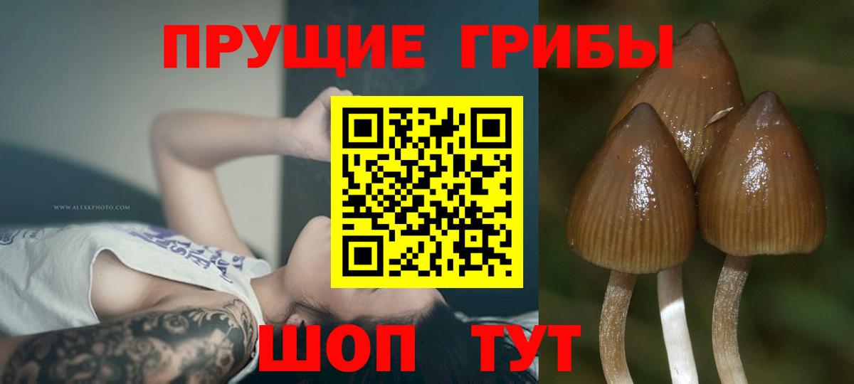 Галлюциногенные грибы мицелий  Вход с VPN  Соль-Илецк 